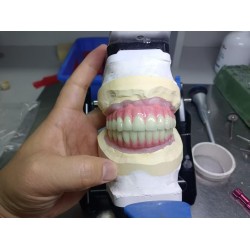 義齒外貿公司 牙科產品出口代理 一站式牙科解決方案